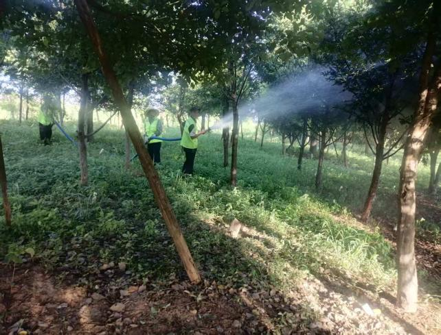 41ab63e41b0a61cc1e44f7fcdbf524ff.png 图片2.png